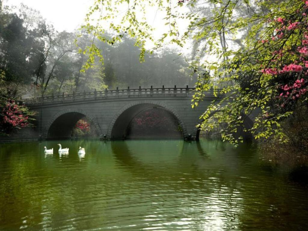 Hongzhushan Hotel Mount Emei Leshan Exterior photo